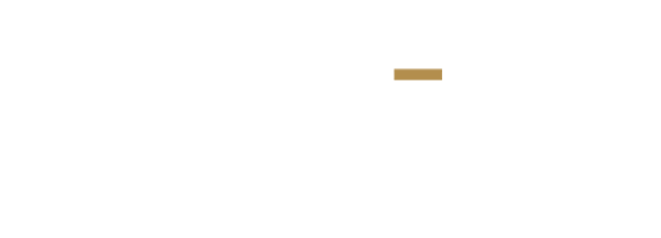 Leo Trechi | Marketing para el éxito logo